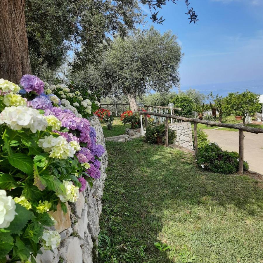 Villa Raf Vico Equense Exterior photo