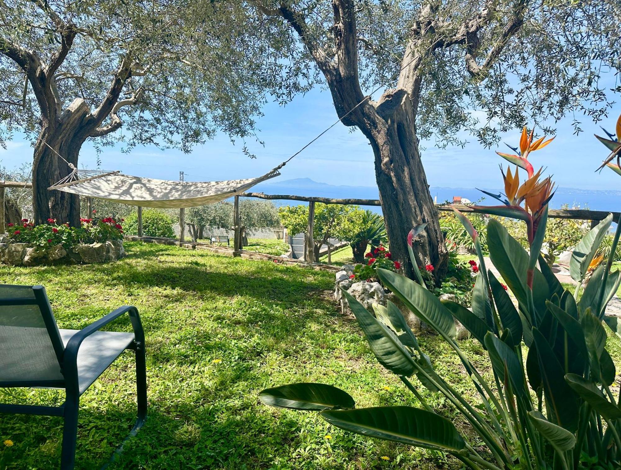 Villa Raf Vico Equense Exterior photo
